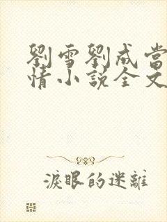 刘雪刘成当代爱情小说全文免费笔趣阁