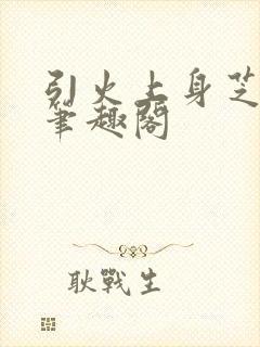 引火上身芝麻糖笔趣阁