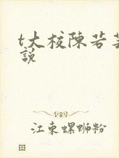 t大校陈若芸小说