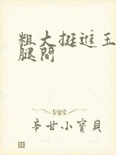 粗大挺进玉芬双腿间