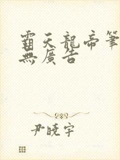 霸天龙帝笔趣阁无广告