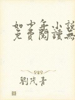 如少年小说全文免费阅读无弹窗