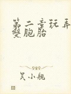 第二章玩弄校花双胞胎封面