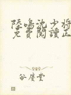 陆鸣沈少将全文免费阅读正版