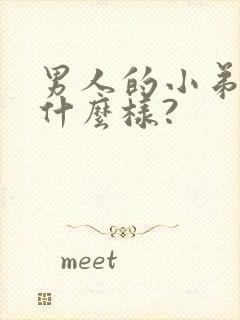 男人的小弟弟长什么样?