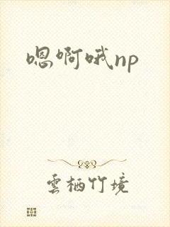 嗯啊哦np