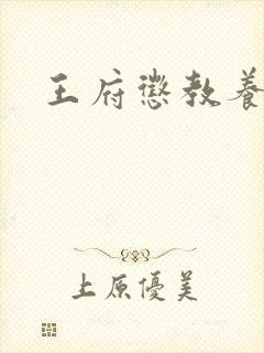 王府惩教养日常