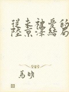 从未被爱的沈念陆京泽结局