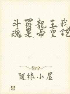 斗罗龙王我的武魂是帝皇铠甲免费阅读封面