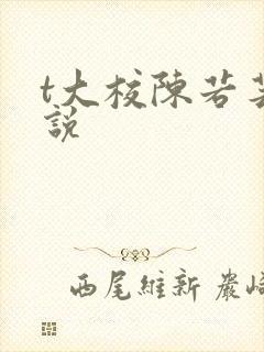 t大校陈若芸小说封面