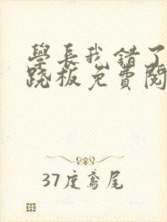 学长我错了 跷跷板免费阅读