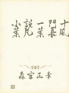 小说一门十忠烈叶凡叶长风全集