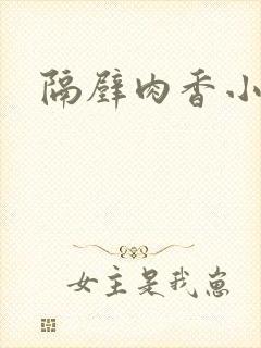 隔壁肉香小说