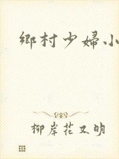 乡村少妇小说