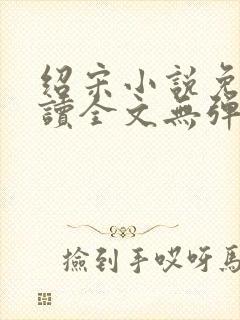 绍宋小说免费阅读全文无弹窗