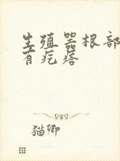 生殖器根部上方有疙瘩