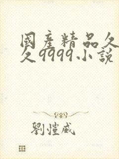 国产精品久久久久9999小说