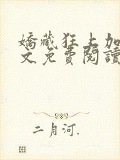 娇藏狂上加狂全文免费阅读笔趣阁封面