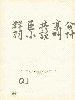 群臣共享公主银羽小说叫什么