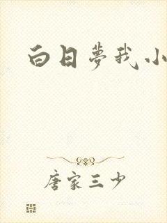 白日梦我小说封面