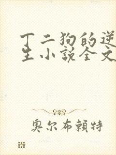 丁二狗的逆袭人生小说全文阅读