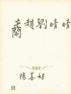 老赵刘晴晴笔趣阁封面