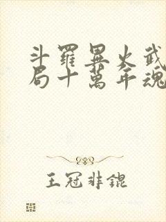 斗罗异火武魂开局十万年魂环笔趣阁封面