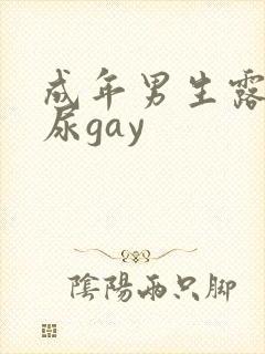 成年男生露j撒尿gay封面