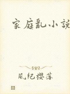 家庭乱小说