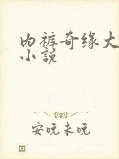 内裤奇缘大团结小说