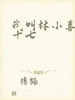 我叫林小喜今年十七