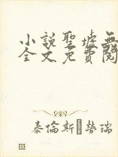 小说圣墟无弹窗全文免费阅读