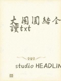 大团圆结全文阅读txt