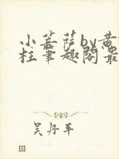 小菩萨by黄铁柱笔趣阁最新章节