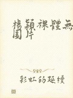 杨颖裸体无遮挡图片