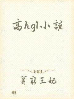 高hgl小说