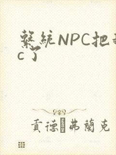 系统NPC把我c了