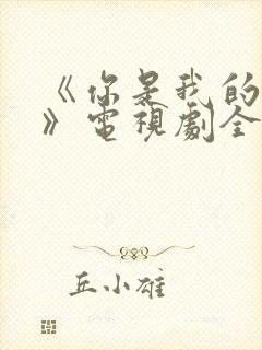 《你是我的荣耀》电视剧全集免费