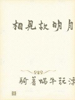 相见故明月