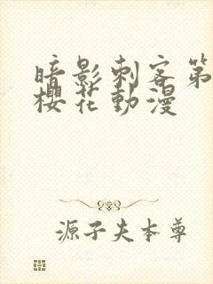 暗影刺客第四季樱花动漫