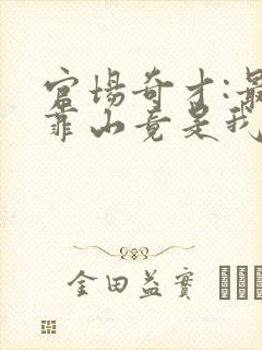 官场奇才:最强靠山竟是我自己李澜小说最