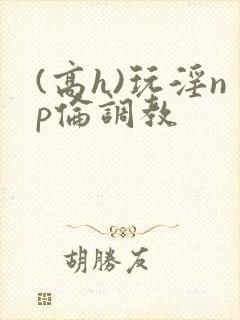 (高h)玩淫np伦调教封面