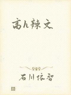 高h辣文