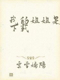 我的姐姐是法官下载封面