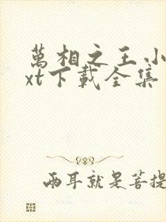 万相之王小说txt下载全集