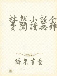 林然小说全文免费阅读无弹窗