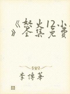 《怒火12小时》全集免费观看