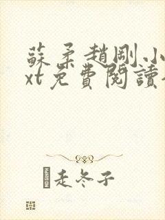 苏柔赵刚小说txt免费阅读全文