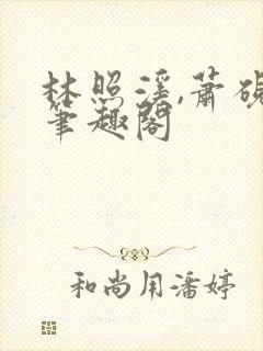 林照溪,萧砚川笔趣阁封面