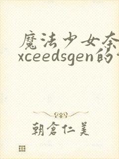 魔法少女奈叶exceedsgen的介绍